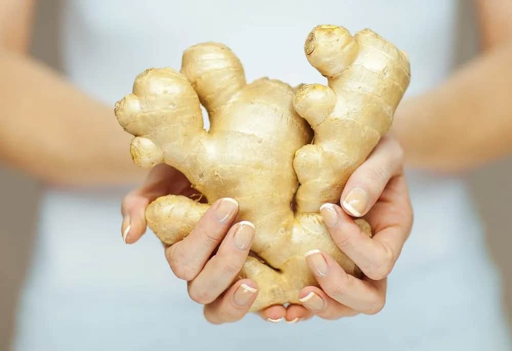 Czy imbir odchudza? Odkryj, jak wspiera proces odchudzania